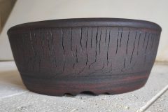 IMG_20210513_155052-scaled