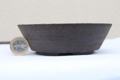 IMG_4477