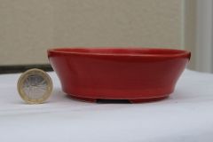 IMG_4491